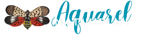 Aquarel Natuurlijk